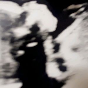 Meet your Posher, Queen